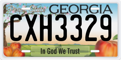 GA license plate CXH3329