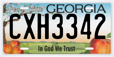 GA license plate CXH3342
