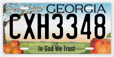 GA license plate CXH3348