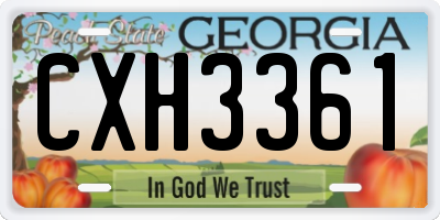 GA license plate CXH3361