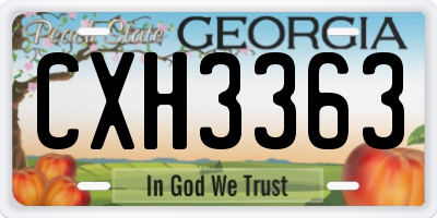 GA license plate CXH3363