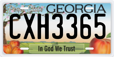 GA license plate CXH3365