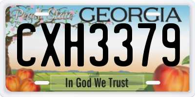 GA license plate CXH3379
