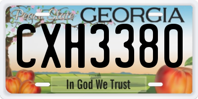 GA license plate CXH3380