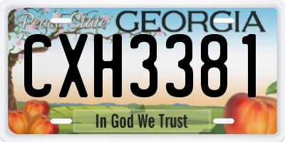 GA license plate CXH3381