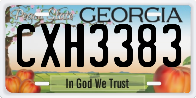 GA license plate CXH3383