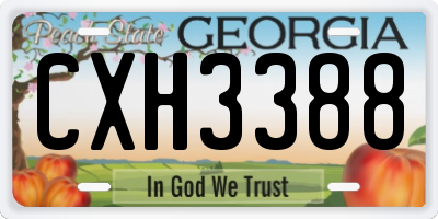 GA license plate CXH3388