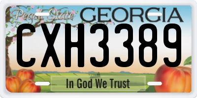 GA license plate CXH3389