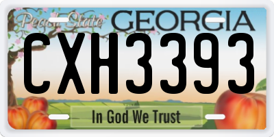 GA license plate CXH3393