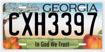 GA license plate CXH3397