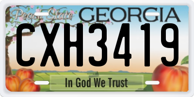 GA license plate CXH3419