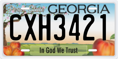 GA license plate CXH3421