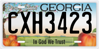 GA license plate CXH3423