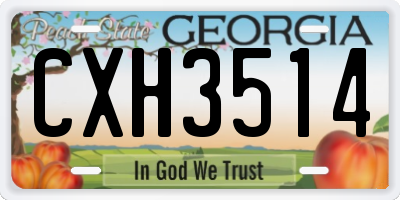 GA license plate CXH3514