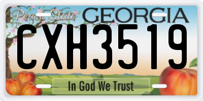 GA license plate CXH3519