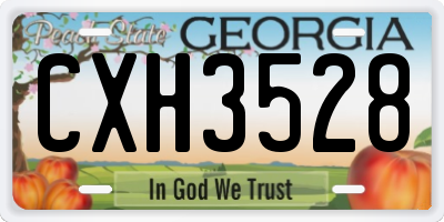 GA license plate CXH3528