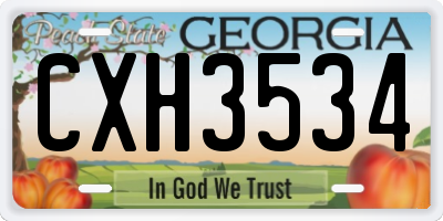 GA license plate CXH3534
