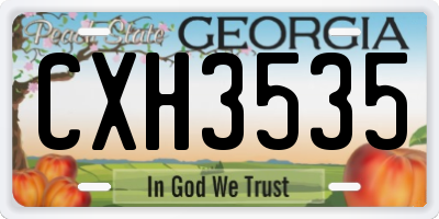 GA license plate CXH3535