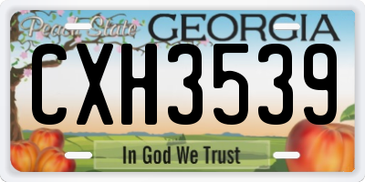 GA license plate CXH3539