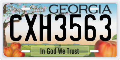 GA license plate CXH3563