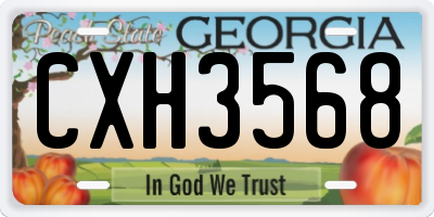 GA license plate CXH3568