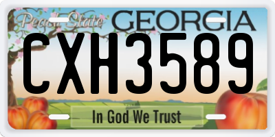 GA license plate CXH3589