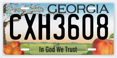 GA license plate CXH3608
