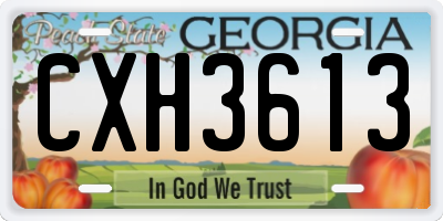 GA license plate CXH3613