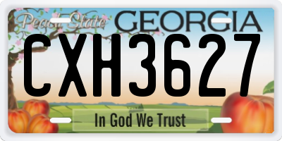 GA license plate CXH3627