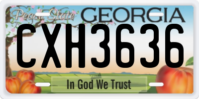 GA license plate CXH3636