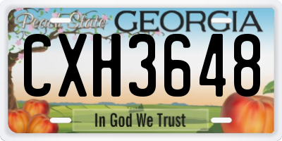 GA license plate CXH3648