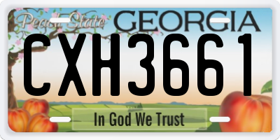 GA license plate CXH3661