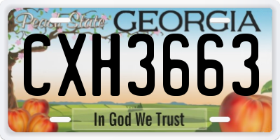 GA license plate CXH3663