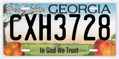 GA license plate CXH3728