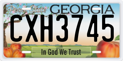 GA license plate CXH3745