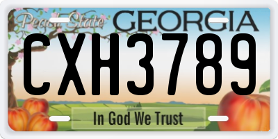 GA license plate CXH3789