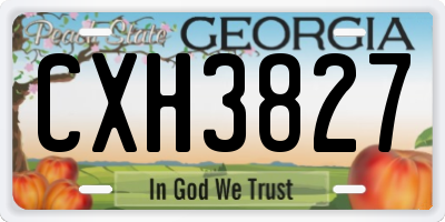 GA license plate CXH3827
