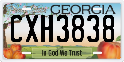 GA license plate CXH3838