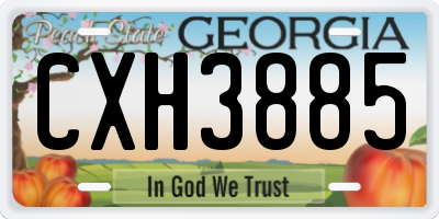 GA license plate CXH3885