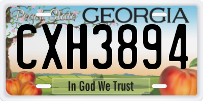 GA license plate CXH3894