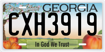 GA license plate CXH3919