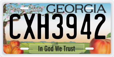 GA license plate CXH3942