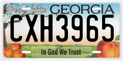 GA license plate CXH3965