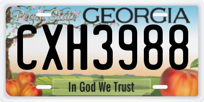 GA license plate CXH3988