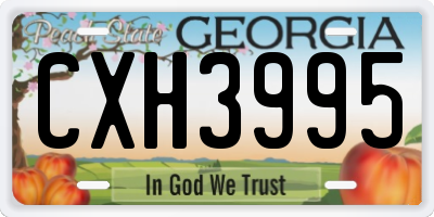 GA license plate CXH3995
