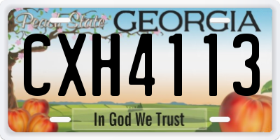 GA license plate CXH4113