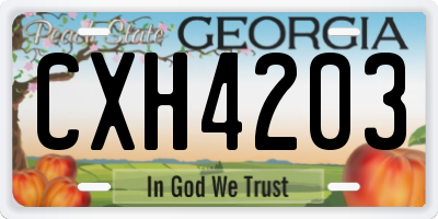 GA license plate CXH4203