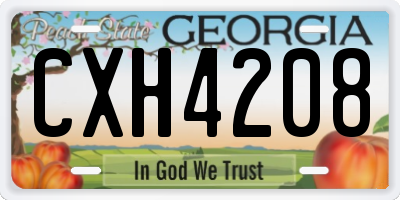 GA license plate CXH4208