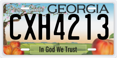 GA license plate CXH4213