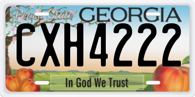 GA license plate CXH4222